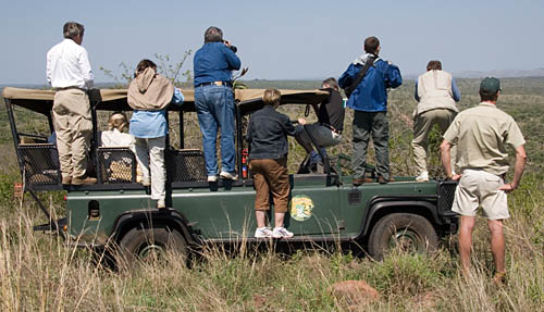 group photographing distant elephant