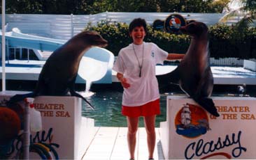 Sea Lions