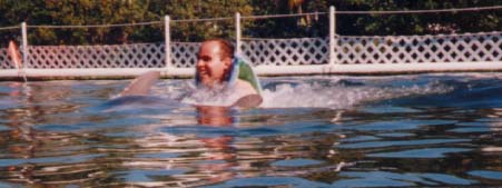 Swimming with the Dolphins