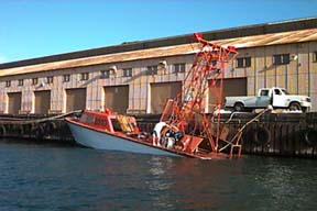 Sinking Drone