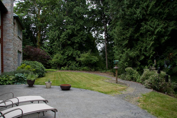 backyard before