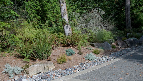 another sunny rockery area