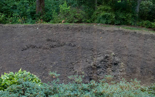 mole tracks