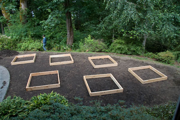 veggie box layout