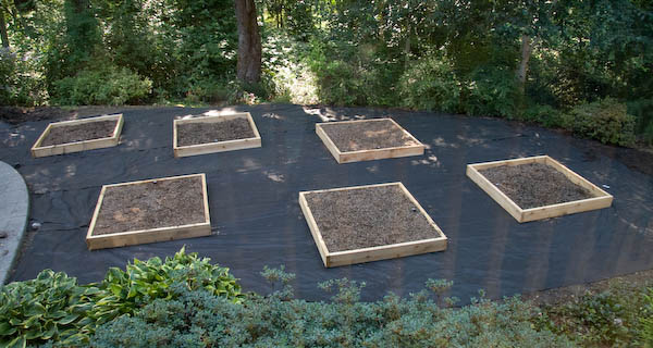 veggie boxes partly filled
