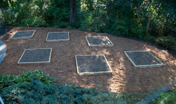 veggie boxes with hog fuel walkways