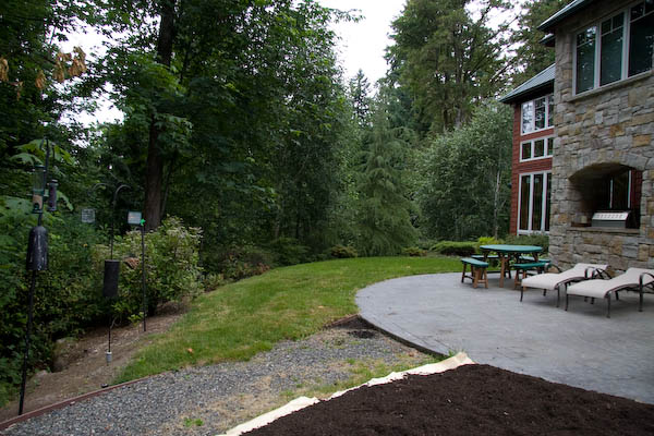 veggie garden area before work