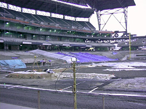 Infield