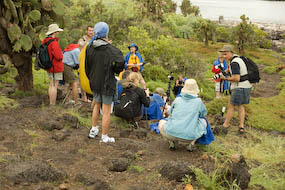 our group photograping a land iguana