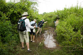 our group gingerly traversing the same area after the tortoise got bored and left