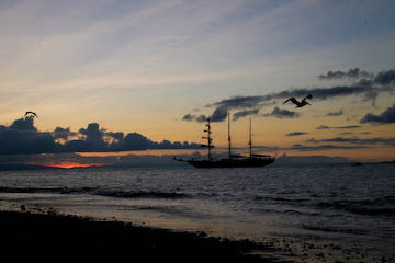 Mary Anne and a pelican at sunset
