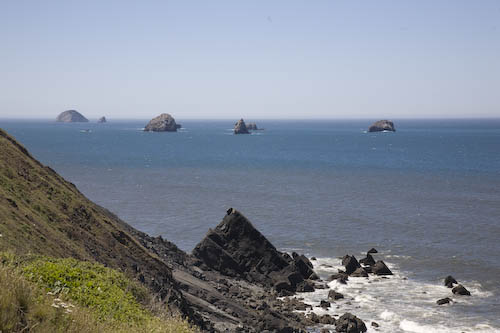 oregon-coast.jpg